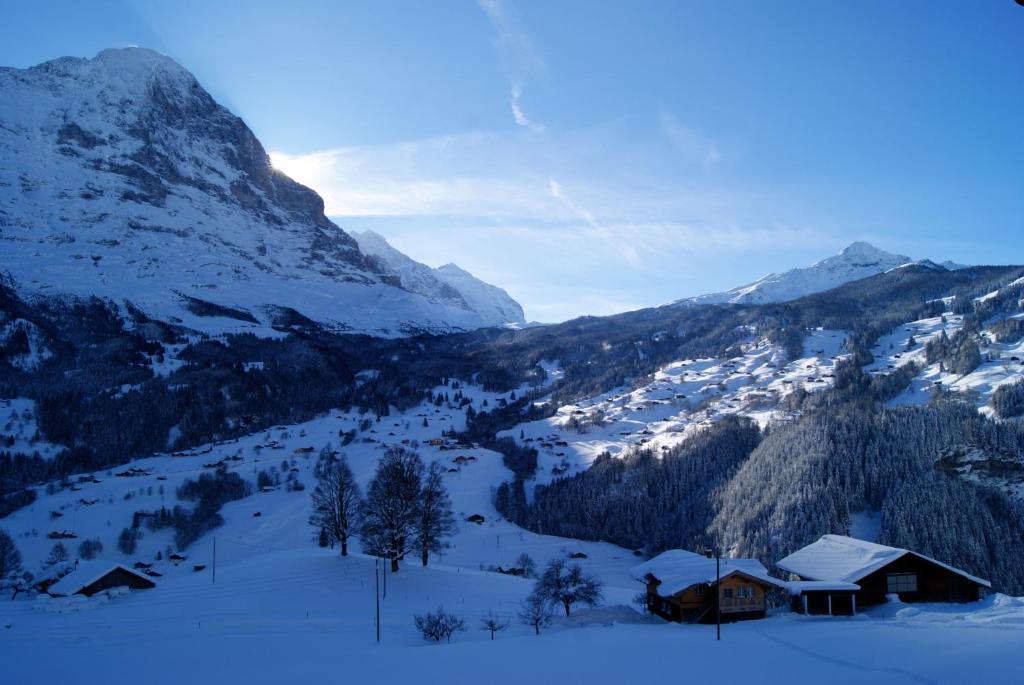 Ferienwohnung Am Eigen Grindelwald Exterior foto